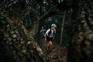 BIB: 
                            <button type="button" onclick="openModal(25687588)" class="btn btn-primary btn-sm float-right btn-popup" data-toggle="modal" data-target=".modal-high-quality">
                        <i class="fas fa-shopping-cart"></i> Add to Cart
                    </button>
                                            <button type="button" onclick="isThisMe(25687588, true)" class="btn btn-success btn-sm float-right btn-popup btn-isme hidden" data-toggle="tooltip" data-placement="bottom" title="นี่คือรูปของคุณใช่ไหม คลิกที่นี่เพื่อเอาเข้าอัลบั้ม">
                        <i class="fas fa-plus"></i> Add to album
                    </button>
                    <button type="button" onclick="isThisMe(25687588, false)" class="btn btn-warning btn-sm float-right btn-popup btn-isnotme hidden">
                        <i class="fas fa-ban"></i> Remove from album
                    </button>